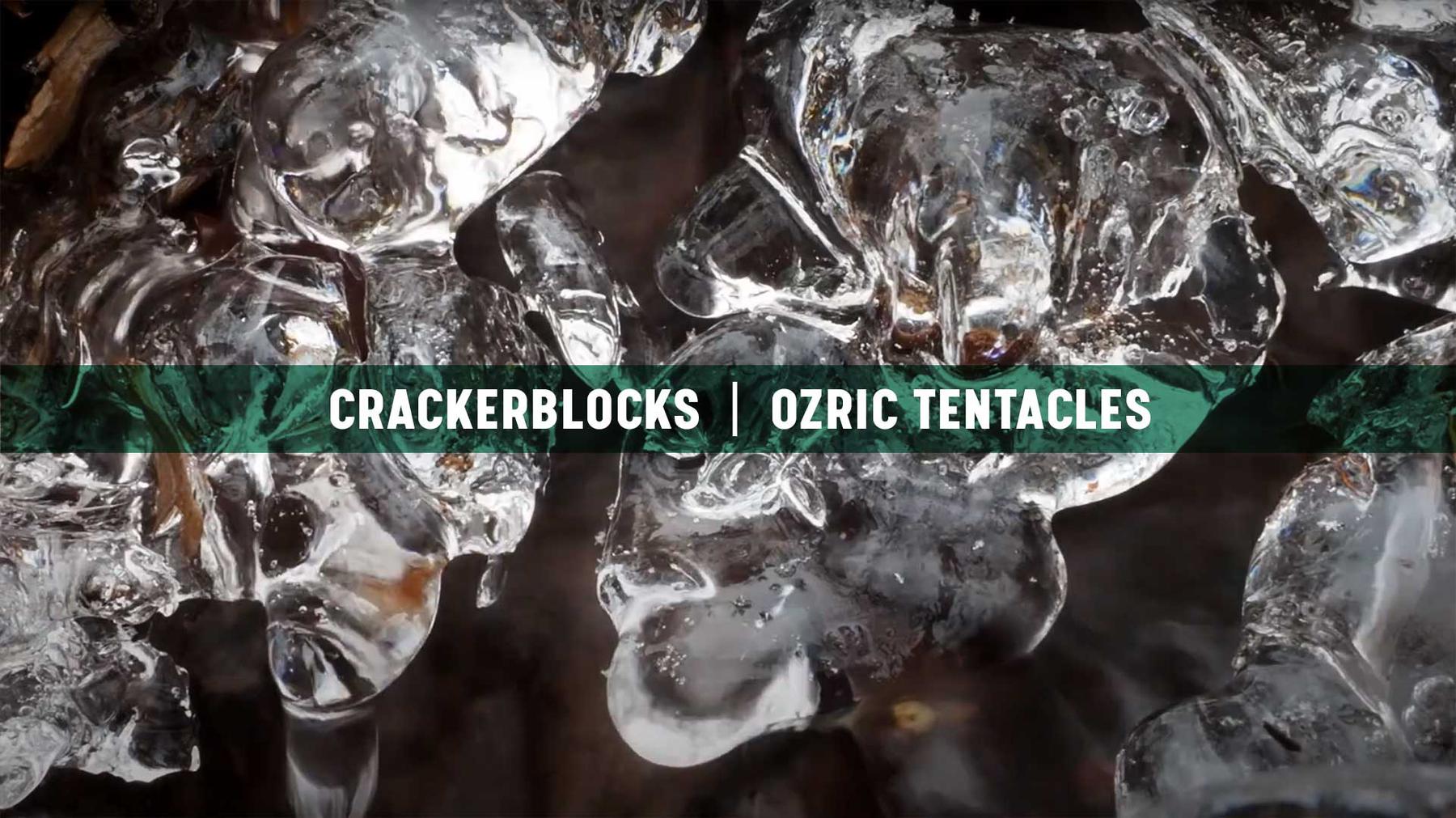 Ozric Tentacles, Crackerblocks